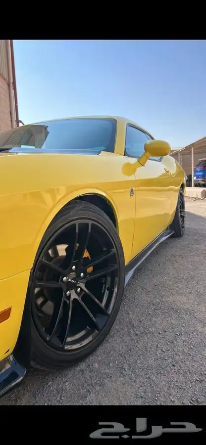 سمكات تشالنجر تحت الابواب 1