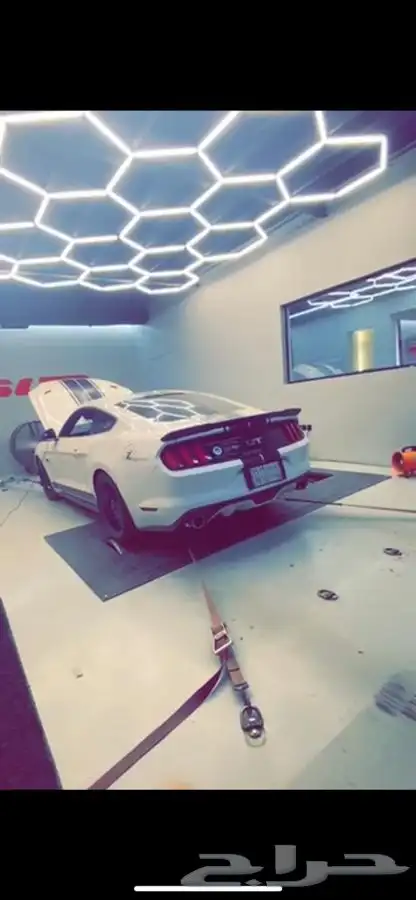 دبات بورلاBorla موستنيق 2