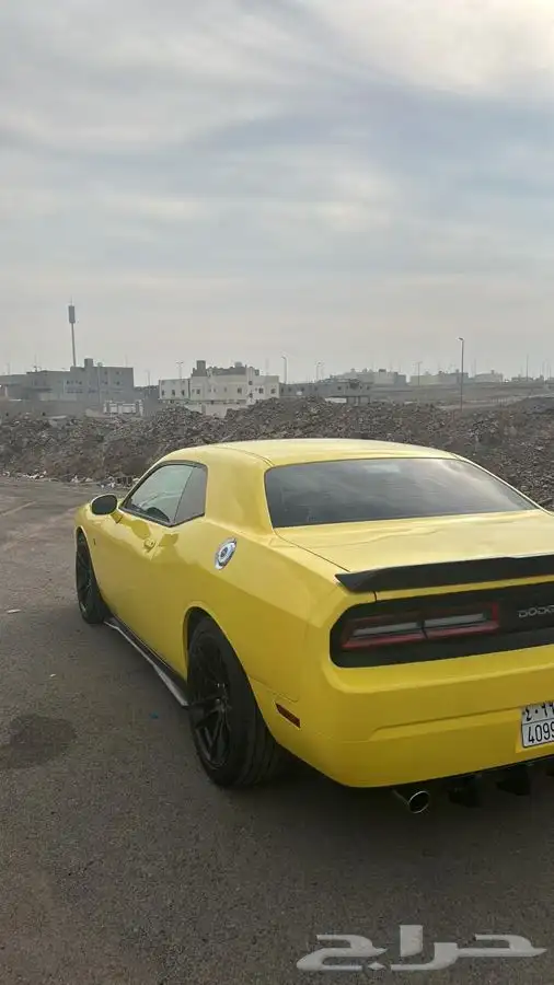 سمكات تشالنجر تحت الابواب 4