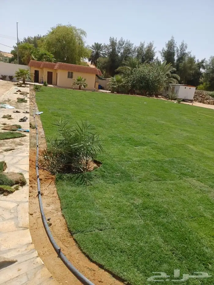 تنسيق حدائق على اعلى مستوى 8