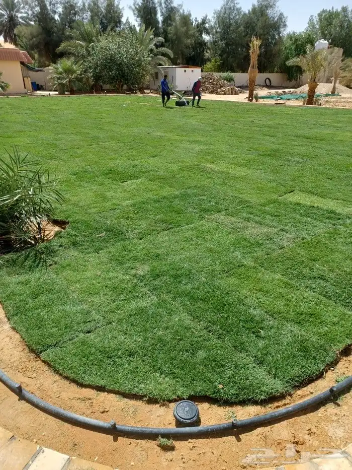 تنسيق حدائق على اعلى مستوى 6