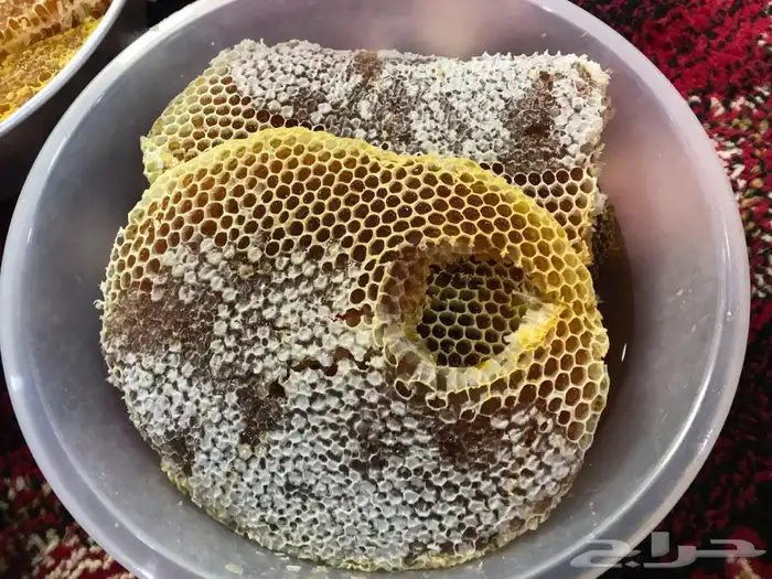   عسل شمع قطفه جديده سمره وسلمه وسدر 5