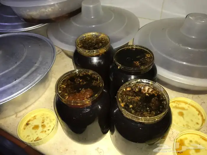 عسل سمر طلح مع سدر شمع وصافي 22