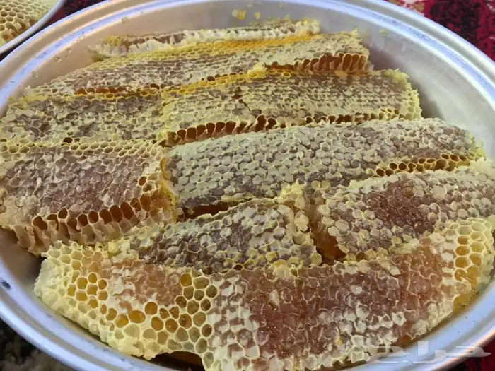 عسل شمع جديد سمر وسدر وضهيان وقتاده فاخر جنوبي 5