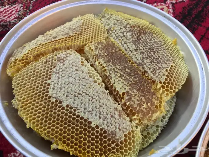 عسل شمع جديد سمر وسدر وضهيان وقتاده فاخر جنوبي 7