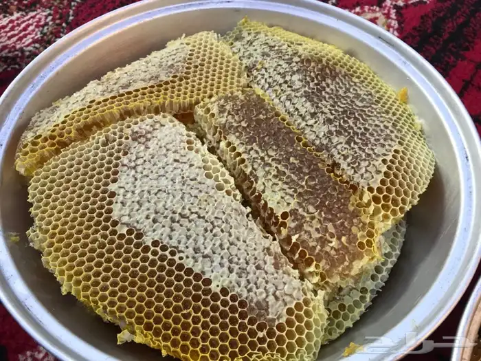 عسل شمع جديد سمر وسدر وضهيان وقتاده فاخر جنوبي 6