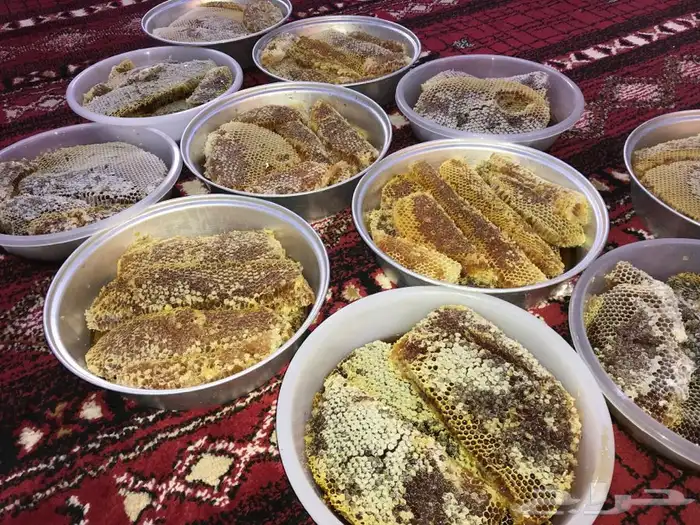   عسل شمع قطفه جديده سمره وسلمه وسدر 16