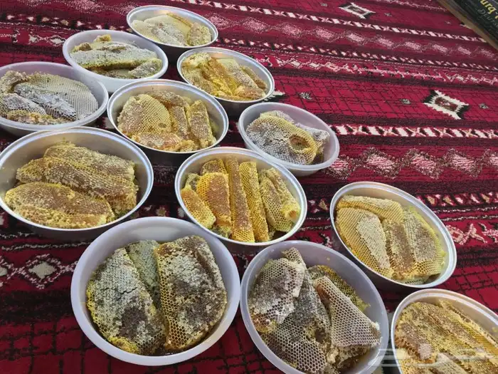 عسل شمع جديد سمر وسدر وضهيان وقتاده فاخر جنوبي 17