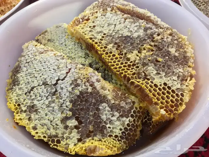 عسل شمع جديد سمر وسدر وضهيان وقتاده فاخر جنوبي 3