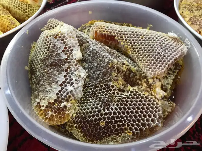   عسل شمع قطفه جديده سمره وسلمه وسدر 15