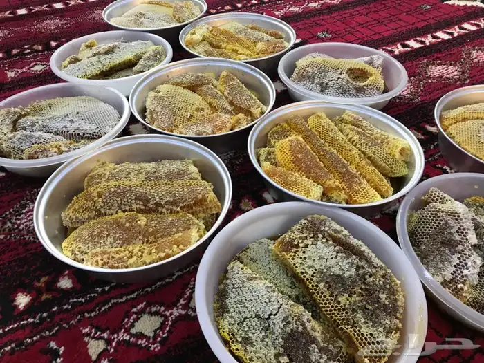 عسل شمع جديد سمر وسدر وضهيان وقتاده فاخر جنوبي 19