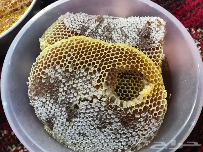 عسل شمع جديد سمر وسدر وضهيان وقتاده فاخر جنوبي 8