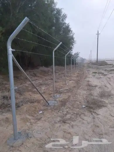 مقاول نخيل وشبوك المزارع بانواعها 2