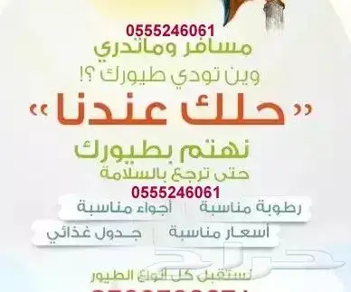 فندقة ابو جوري للقطط والطيور أثناء اجازتك 0