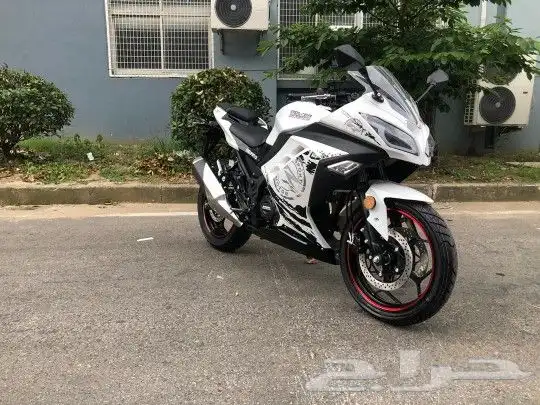 ريس 250 كمية محدودة جدا بسعر مغري 10