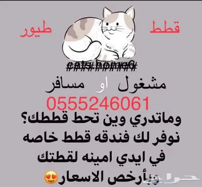 فندقة ابو جوري للقطط والطيور أثناء اجازتك 1