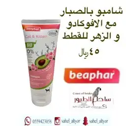 بنغالي رغدول بامبيون سكتشي فرعوني سيامي شيرا 85