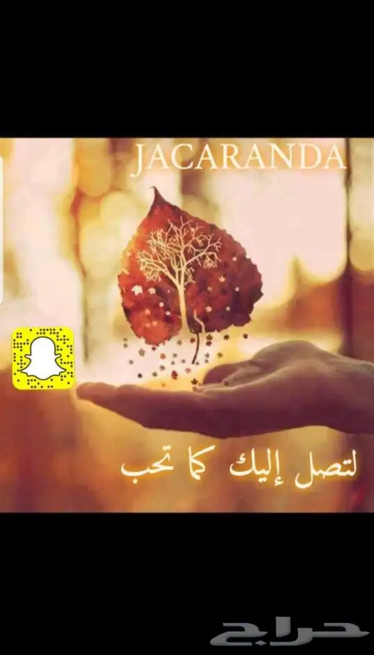 عطوري بالشكل الجديد واسعار منافسه 1