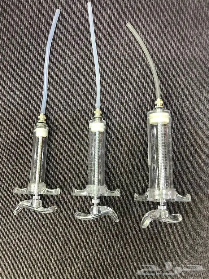 علف بادجي كناري كروان فيرسلاقا فيرتي فيت بياضات حضانات غر 5