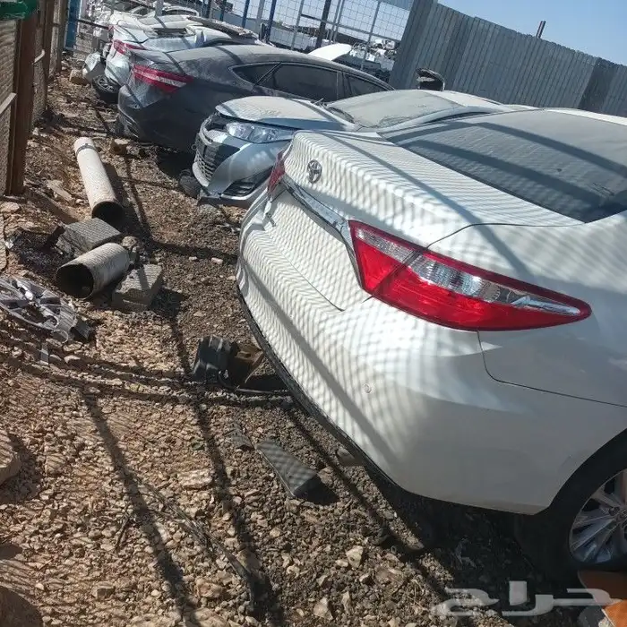 تشاليح الحاير الرياض 1