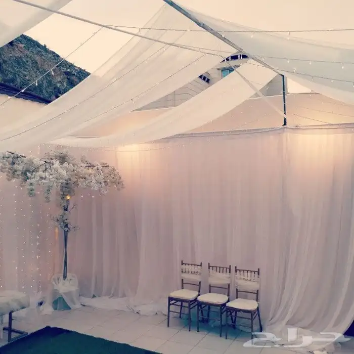 ستاير وكوش الطايف 0