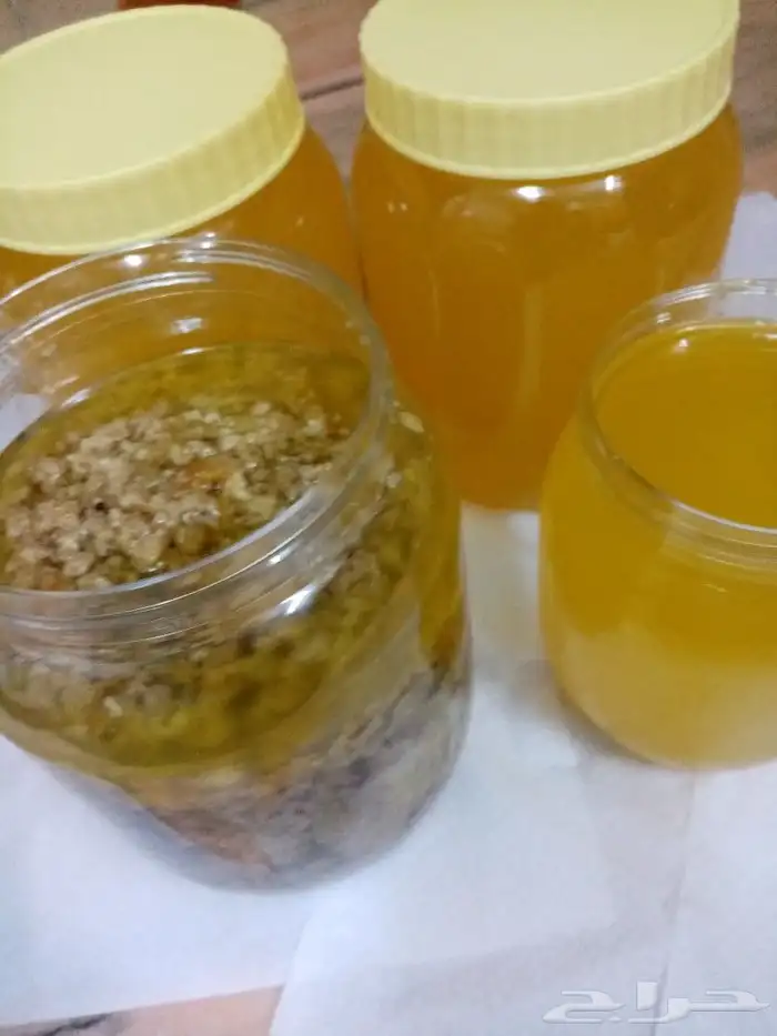 شغل اليوم سمن غنم ورضيف 1