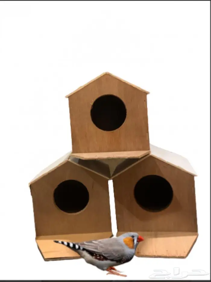 بيوت حضانات اعشاش اقفاص طيور 16