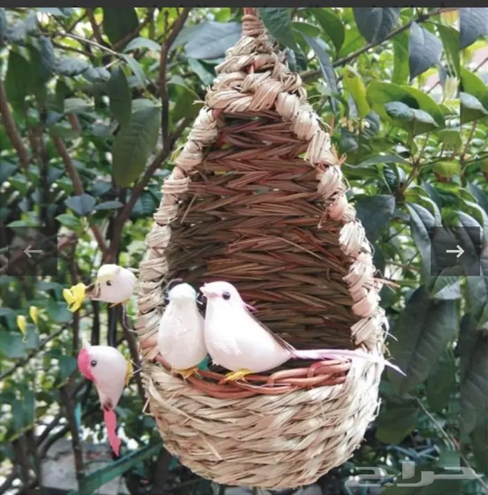 بيوت حضانات اعشاش اقفاص طيور 11