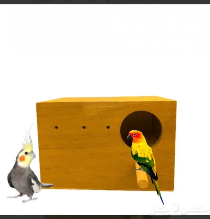 بيوت حضانات اعشاش اقفاص طيور 18