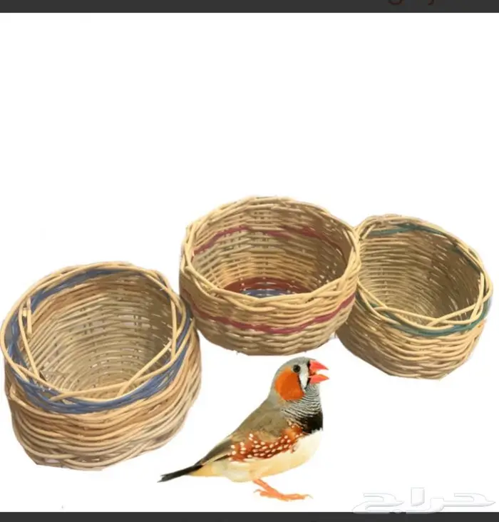 بيوت حضانات اعشاش اقفاص طيور 32