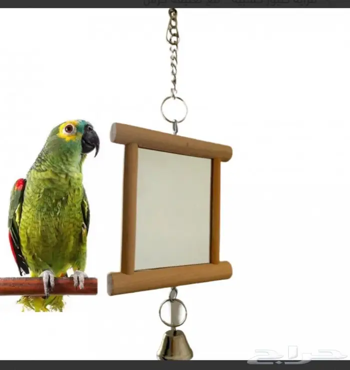 بيوت حضانات اعشاش اقفاص طيور 19