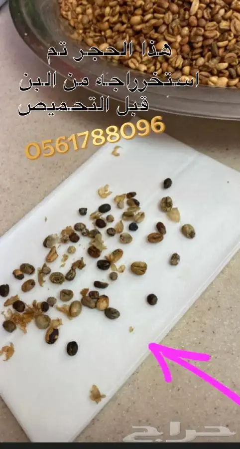 قهوة الكيف 52