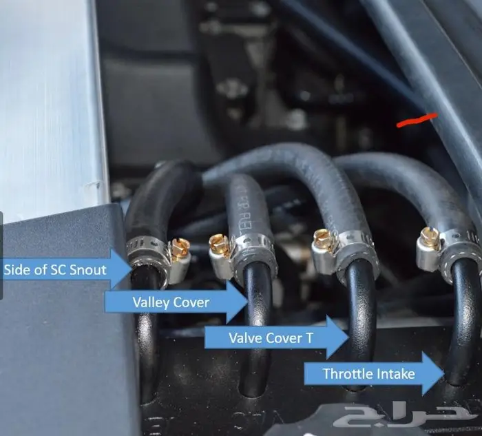 كاتش كان ctsv 2009-2015 1