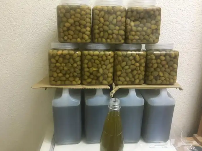 زيت زيتون فلسطيني العصرة الجديدة 6