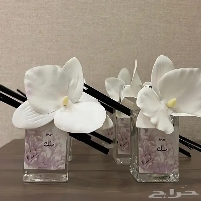 توزيعات مواليد توزيعات ملكه 17