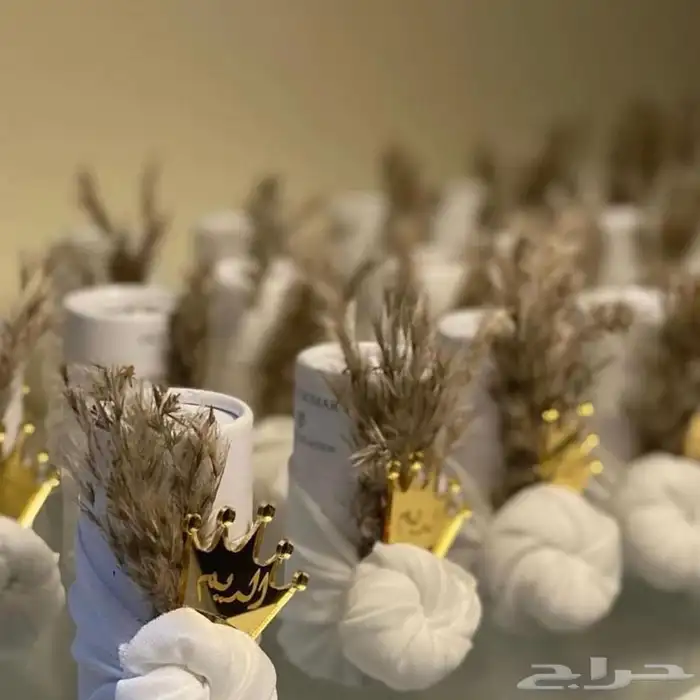 توزيعات مواليد توزيعات ملكه 22