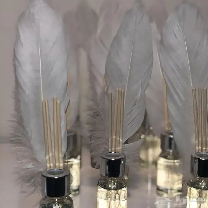 توزيعات مواليد توزيعات ملكه 24