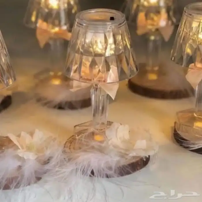 توزيعات مواليد توزيعات ملكه 14