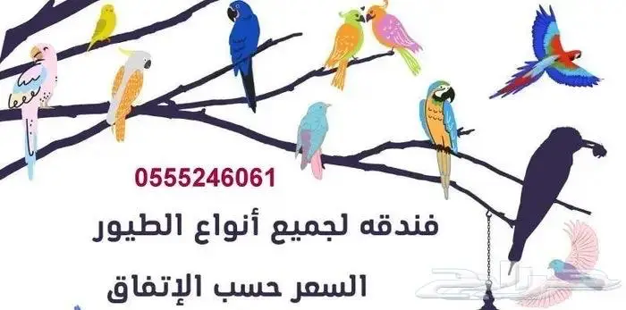 فندقة طيور وقطط 6061 24 0555 الرياض 1