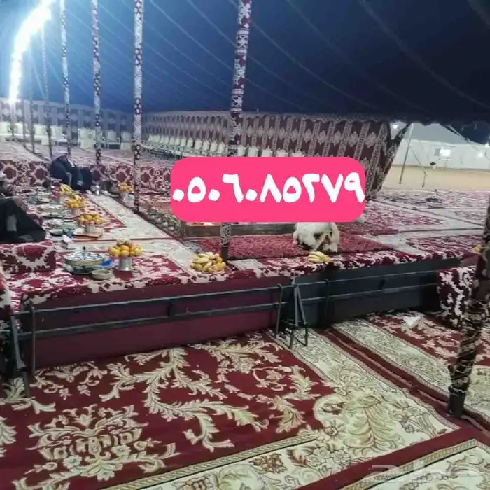 شبكة الافراح تجهيز جميع الحفلات والمخيمات وجميع المناسبات 0