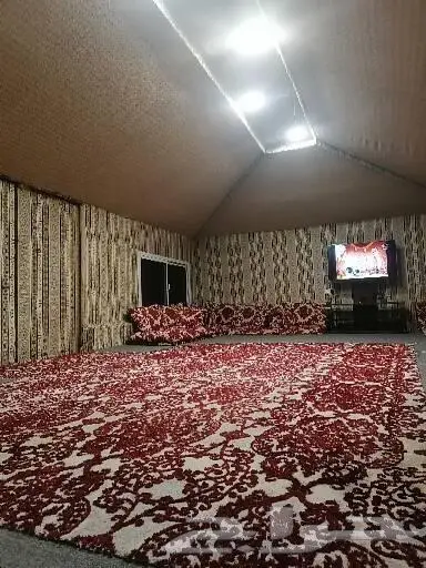 مخيم للايجار عروض الافتتاح 19