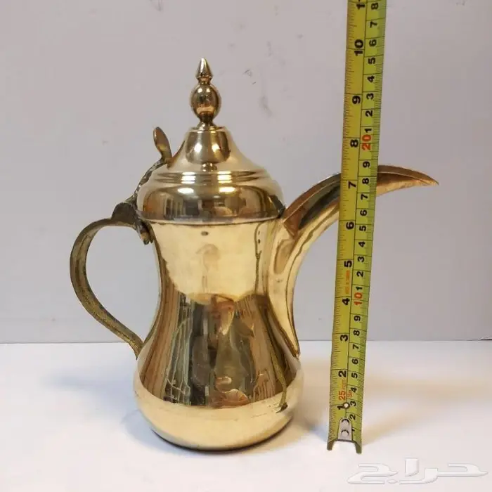 دلال مشكلة 13