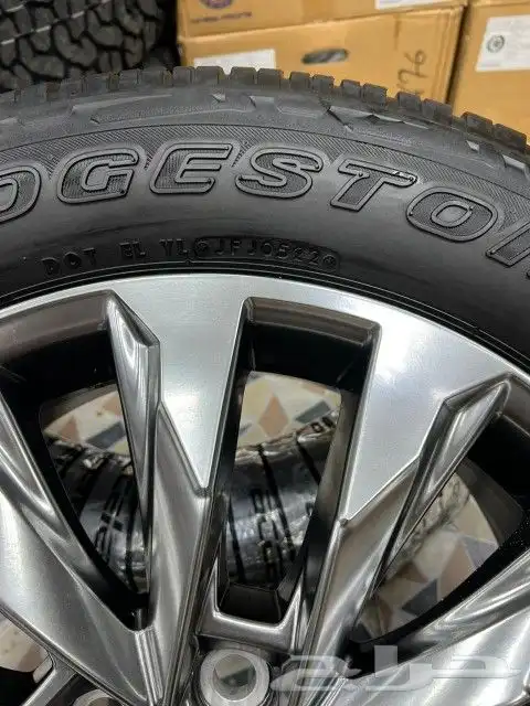 جنوط متوفرة اصدار جديد 11