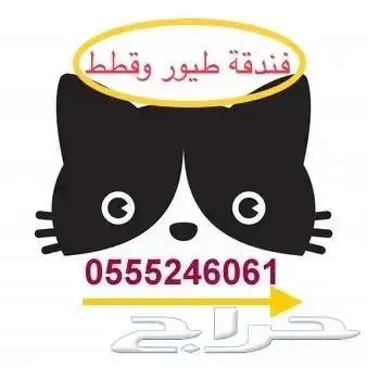 فندقة حيوانات قطط وطيور أثناء اجازتك 0