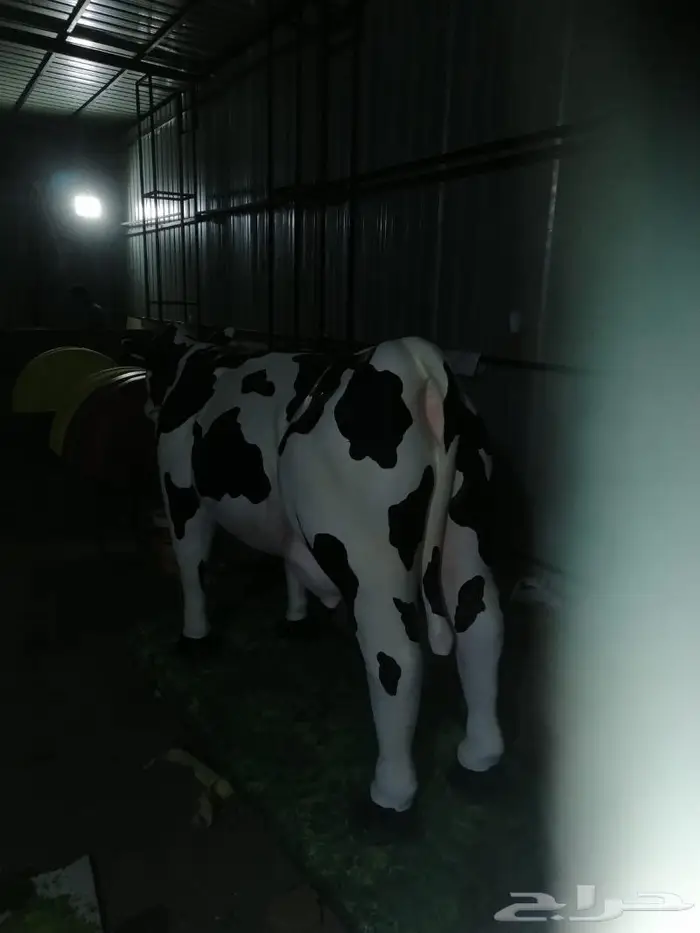 نحت مجسمات فلين ديكور فلين اعلانات نحات محترف 4