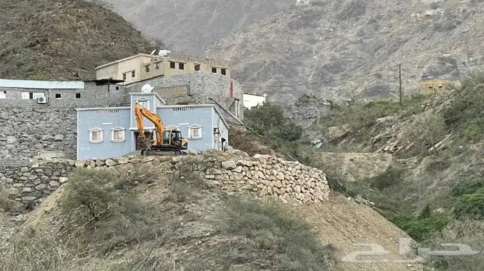 يوجد تابي وتمارا بوكلينات كبيره وصغيره في الداير 6