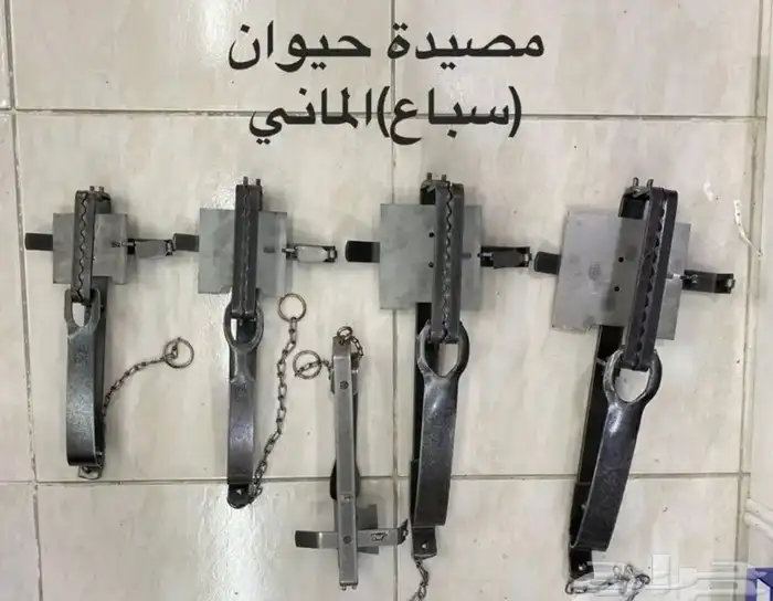 مصيدة حيوان حيوانات فخ 1