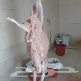 حري سواكني مع خدمة السلخ والتوصيل 3