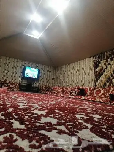 مخيم عروض التأجير 350 ايام الاسبوع 17