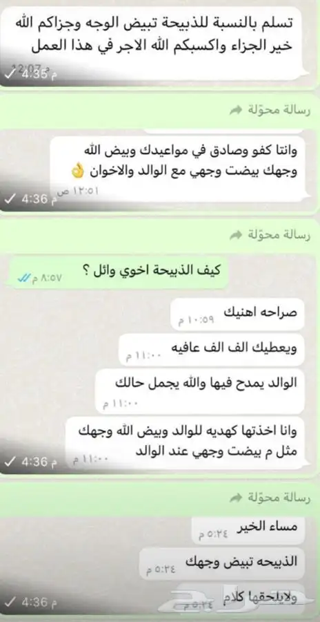 ذبايح سواكني ثلاجة مناسبات كبار 1350 تربية 5 شهور لحد بيتك 11